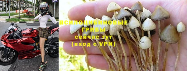 каннабис Нефтекумск