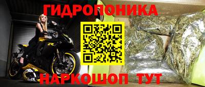 кокс Гусев