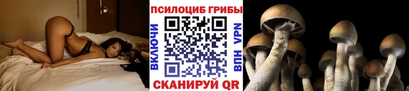 где можно купить наркотик  Краснодар  Псилоцибиновые грибы мухоморы 