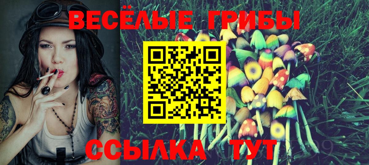 Псилоцибиновые грибы MAGIC MUSHROOMS Краснодар